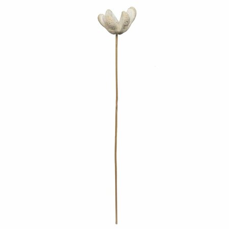 DARE2DECOR 20 in. Bullet Bleached Decorative Flower, Bleach - 50 Stems per Pack DA3248619